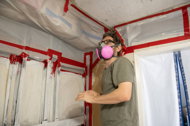 Mold Removal for HVAC Installations in Parkville, PA